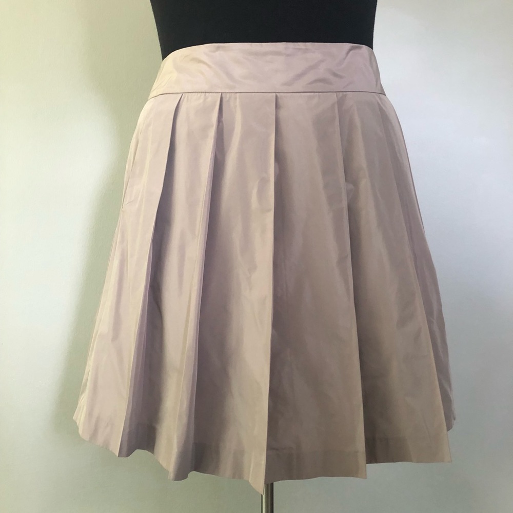 Pleated Skirt